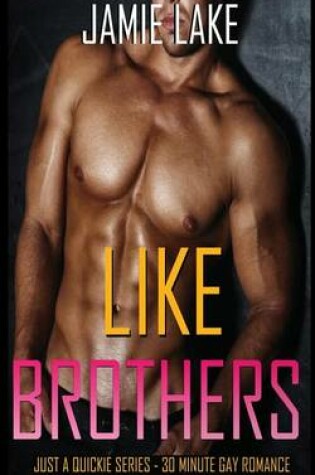 Cover of Like Brothers