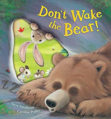 Book cover for Don't Wake the Bear!