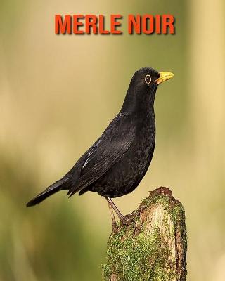 Book cover for Merle Noir