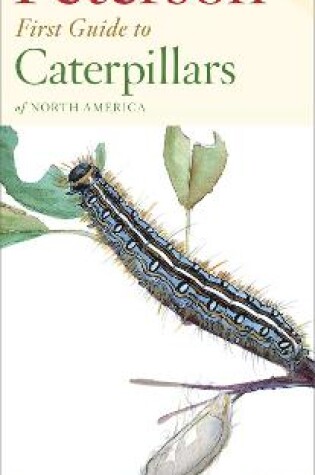 Cover of Peterson First Guide to Caterpillars of North America