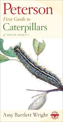 Book cover for Peterson First Guide to Caterpillars of North America
