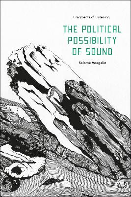 Book cover for The Political Possibility of Sound