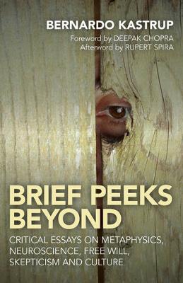 Book cover for Brief Peeks Beyond