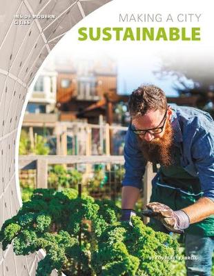 Book cover for Making a City Sustainable