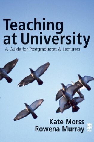 Cover of Teaching at University