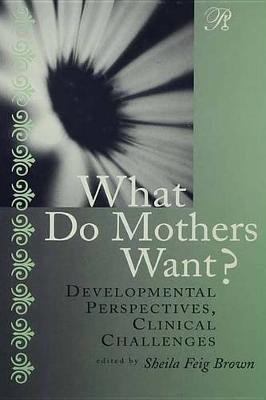 Book cover for What Do Mothers Want?