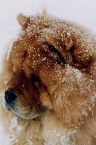 Cover of Chow Chow Dog in the Snow Journal