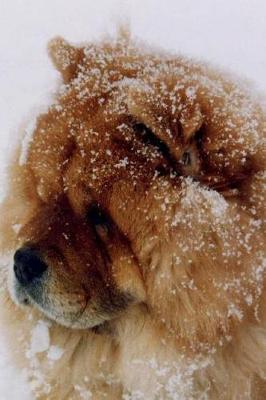 Book cover for Chow Chow Dog in the Snow Journal