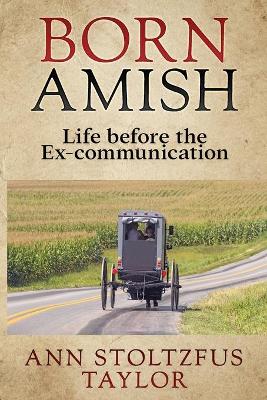 Book cover for Born Amish