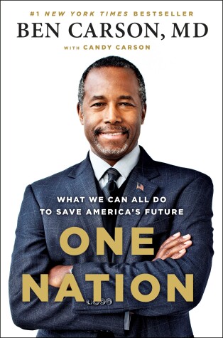 Book cover for One Nation