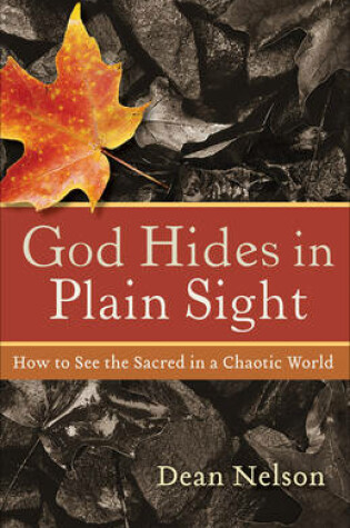 Cover of God Hides in Plain Sight