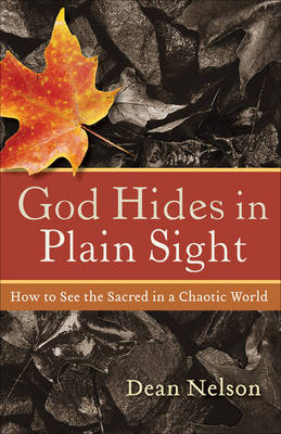 Book cover for God Hides in Plain Sight