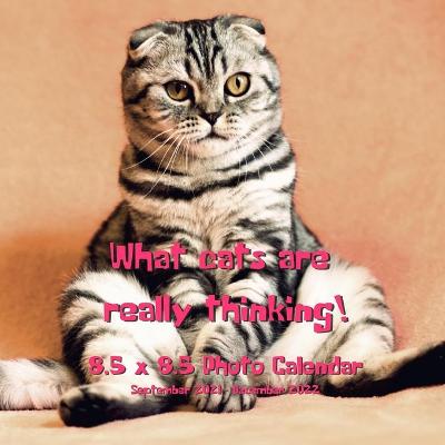 Book cover for What Cats Are Really Thinking! 8.5 X 8.5 Calendar September 2021 -December 2022