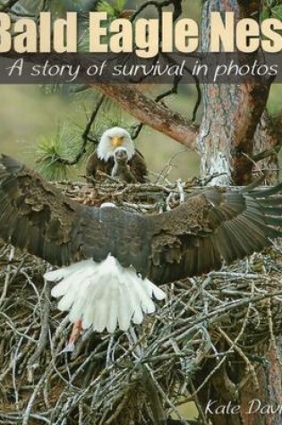 Cover of Bald Eagle Nest