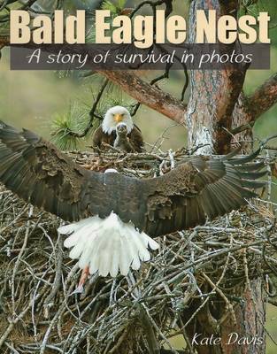 Book cover for Bald Eagle Nest