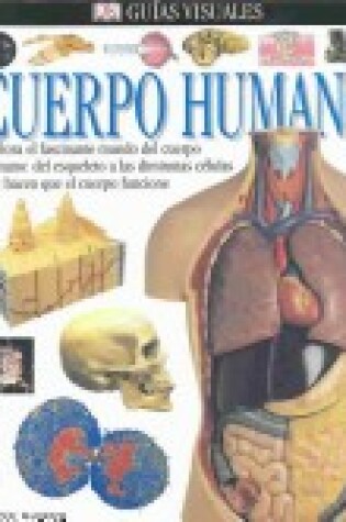 Cover of Cuerpo Humano