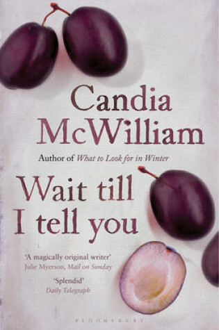Cover of Wait Till I Tell You