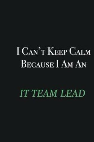 Cover of I cant Keep Calm because I am an IT team lead