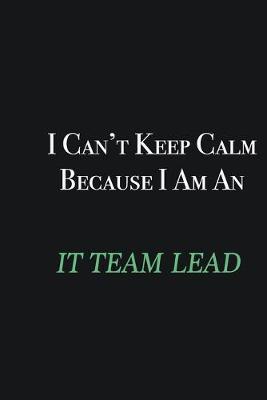 Book cover for I cant Keep Calm because I am an IT team lead