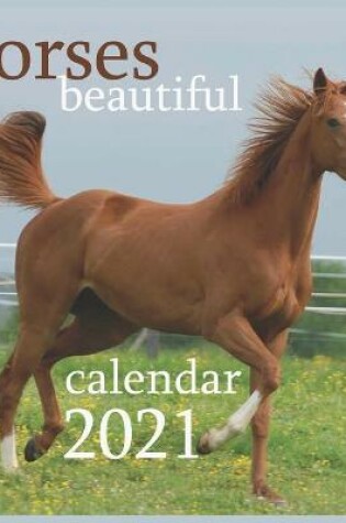 Cover of beautiful Horse