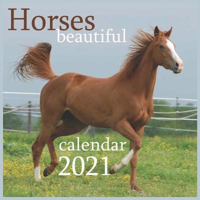 Book cover for beautiful Horse