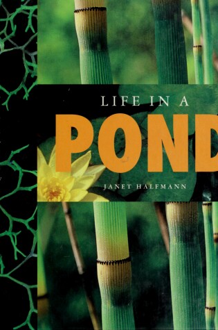 Cover of Life in a Pond