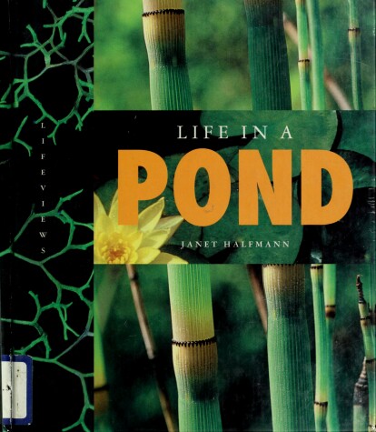 Book cover for Life in a Pond