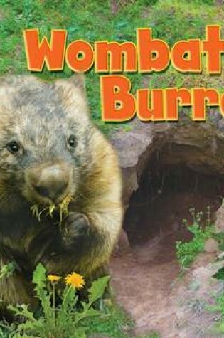 Cover of Wombat's Burrow