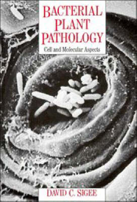 Book cover for Bacterial Plant Pathology