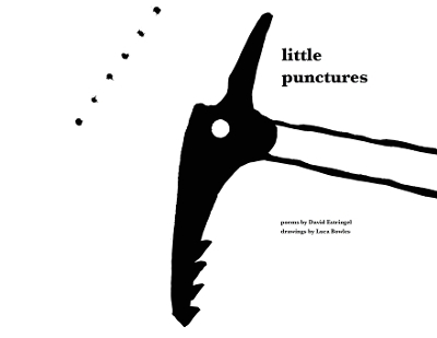 Book cover for Little Punctures