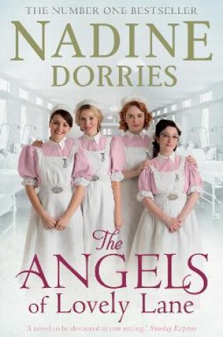 Cover of The Angels of Lovely Lane