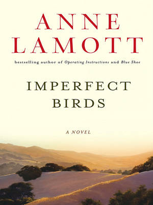 Book cover for Imperfect Birds