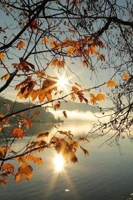 Book cover for Golden Autumn Leaves on a Sunny Morning Journal