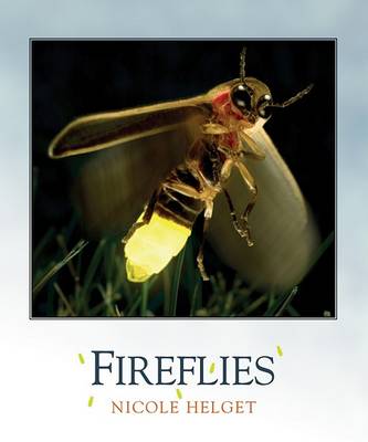 Cover of Fireflies