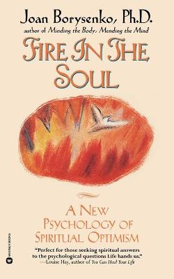 Book cover for Fire In The Soul