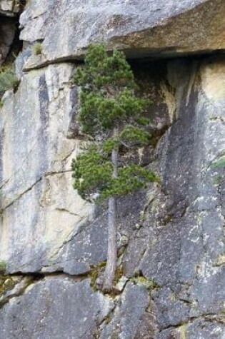 Cover of Tree Growing on the Cliffside Perseverance Journal