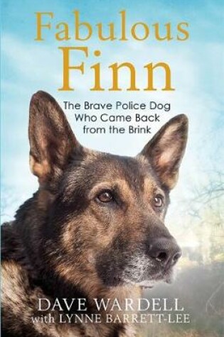 Cover of Fabulous Finn