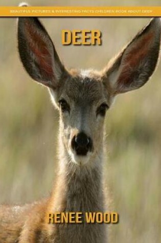 Cover of Deer