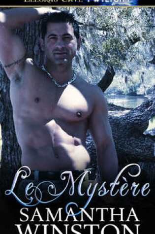 Cover of Le Mystere