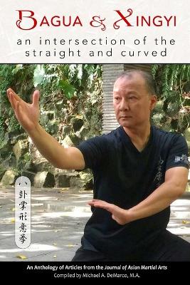 Book cover for Bagua and Xingyi