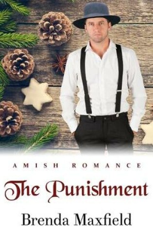 Cover of The Punishment