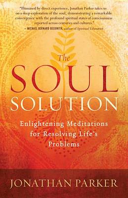 Book cover for The Soul Solution