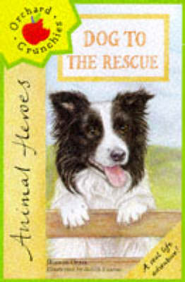 Book cover for Animal Heroes: Dog To The Rescue