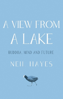 Book cover for A View From A Lake