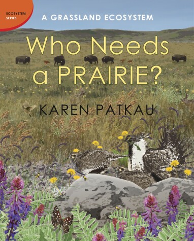 Cover of Who Needs a Prairie?