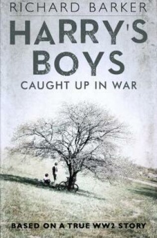 Cover of Harry's Boys