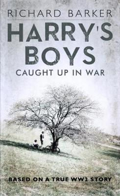 Book cover for Harry's Boys