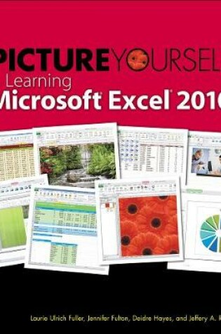 Cover of Picture Yourself Learning Microsoft Excel 2010