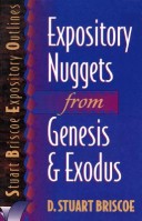 Book cover for Expository Nuggets from Genesis and Exodus