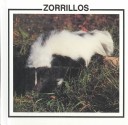 Book cover for Zorrillos